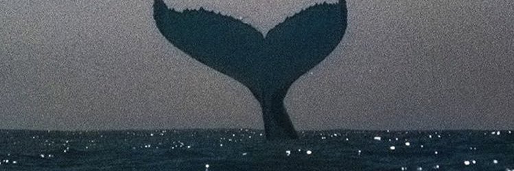 SubrenaPayton's profile banner image