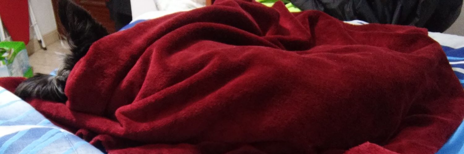 CuloMofeta's profile banner image