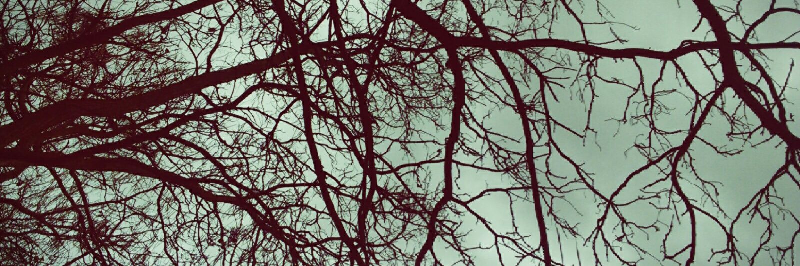JVinilover's profile banner image