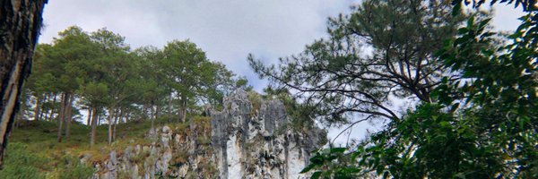 pekdasen Profile Banner