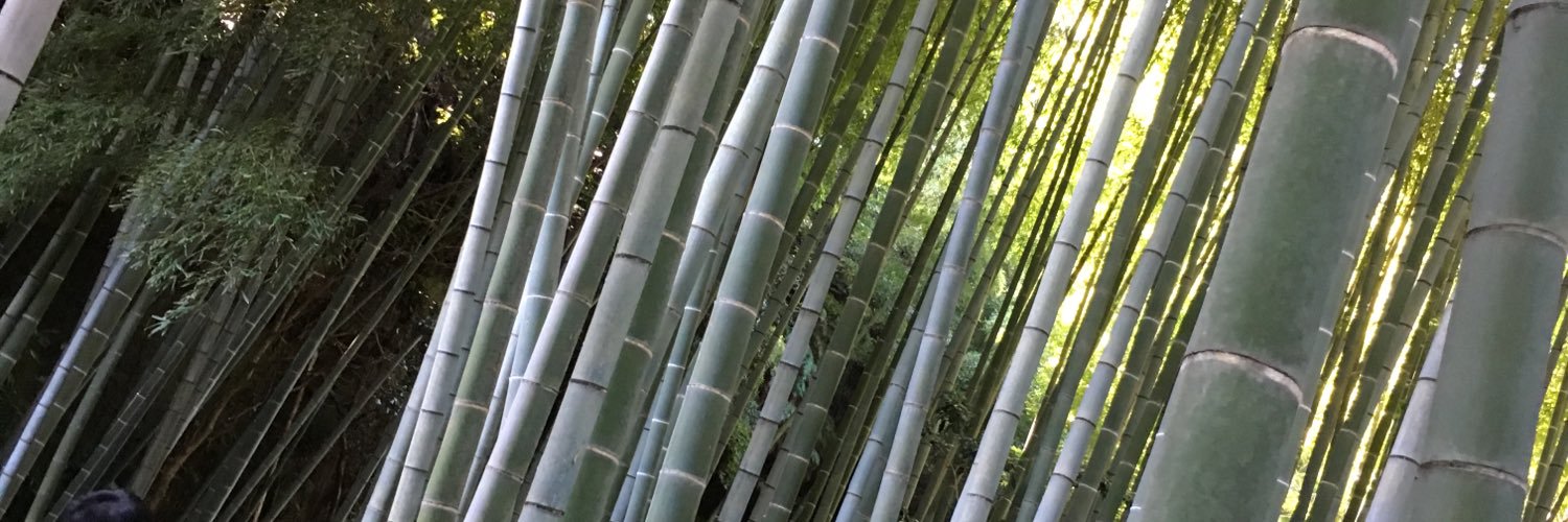 cansukex's profile banner image