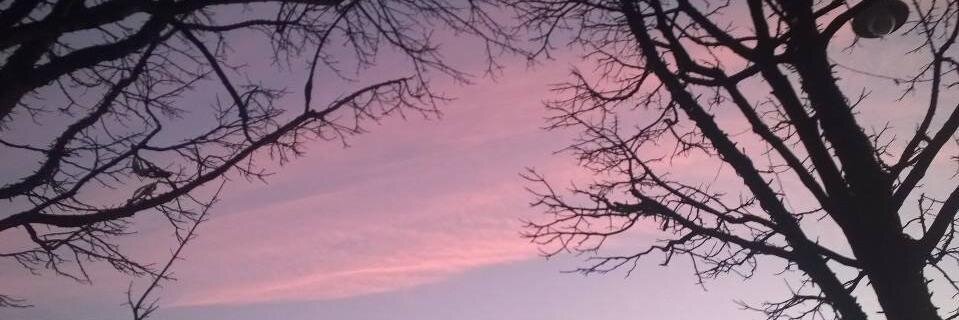 CatInMyKitchen's profile banner image