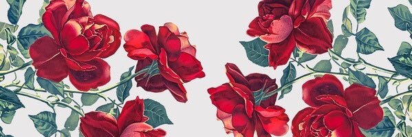 lisatnv's profile banner image