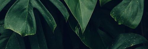 Romeomazo's profile banner image