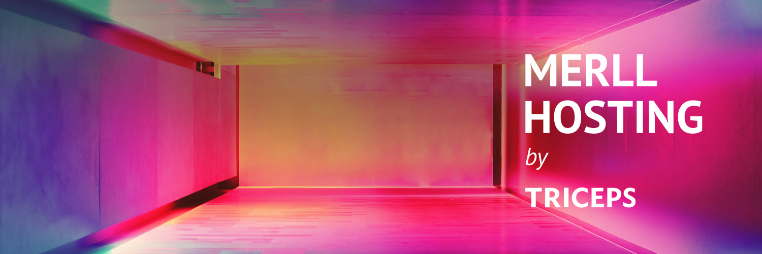 merllhosting's profile banner image