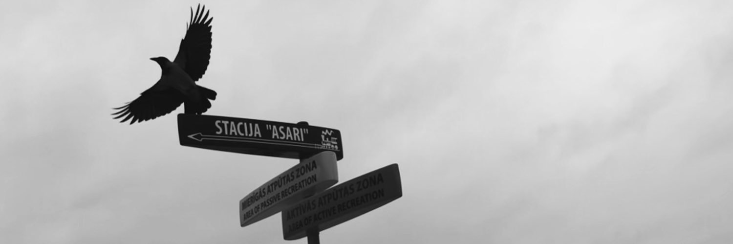 yuiccous's profile banner image