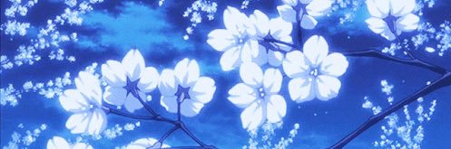 Serpo banner