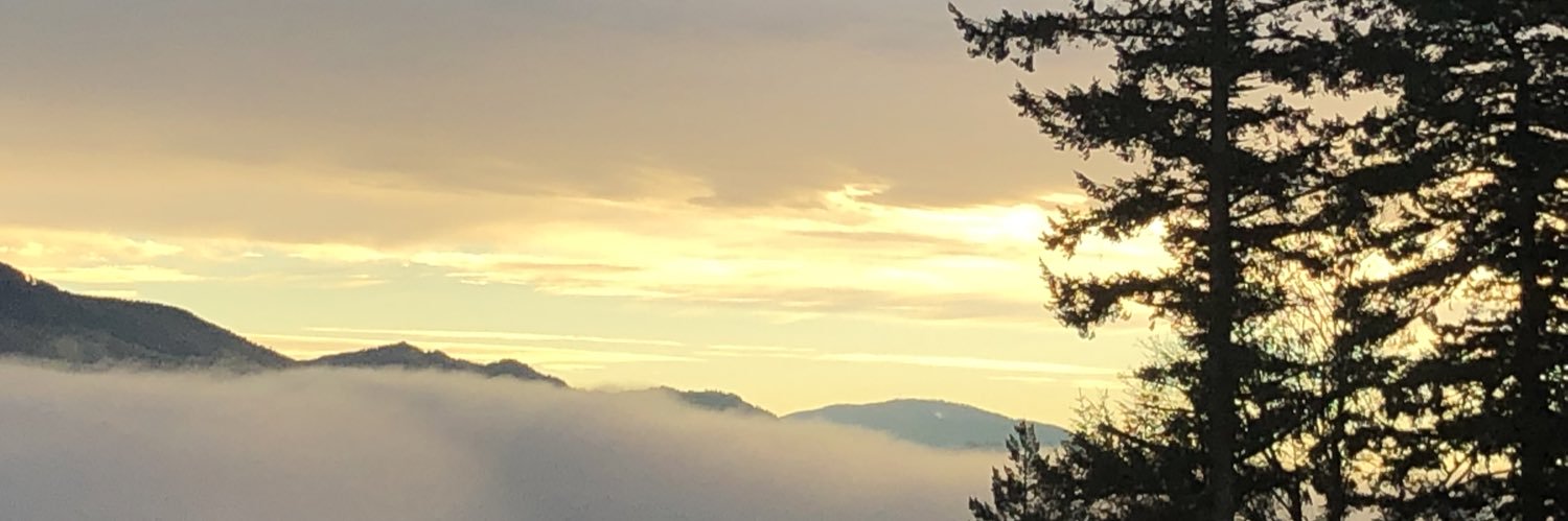 𝖂𝖔𝖑𝖋-𝕷𝖆𝖓𝖉𝖘𝖙𝖔𝖗𝖒 Nederlander👌🏻 banner