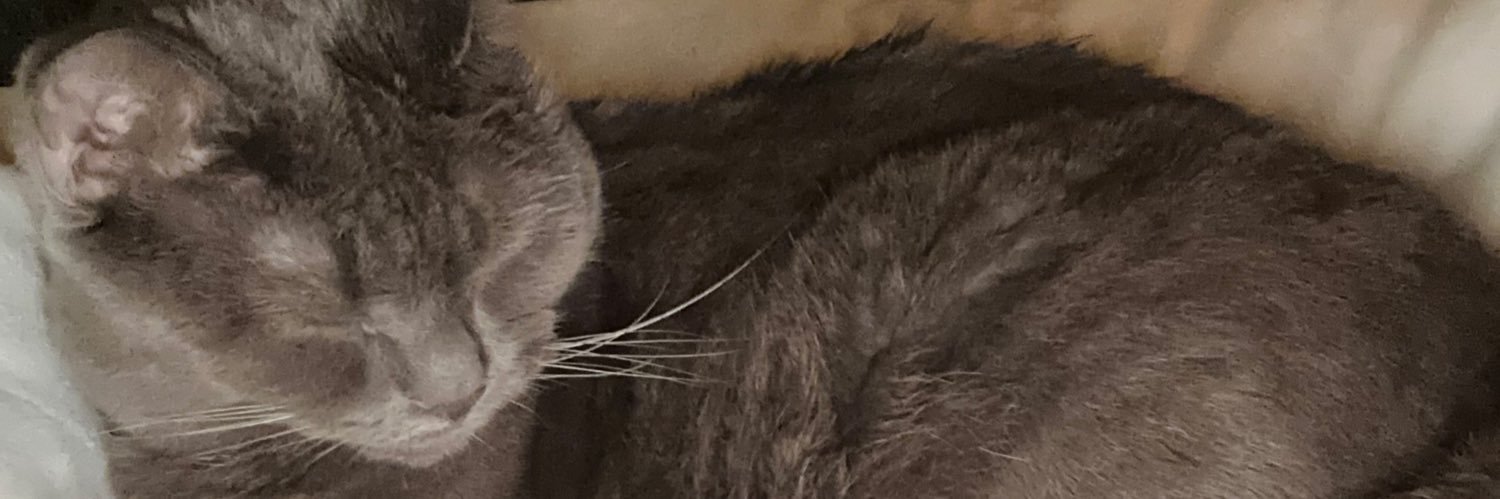 racheIdiaz's profile banner image
