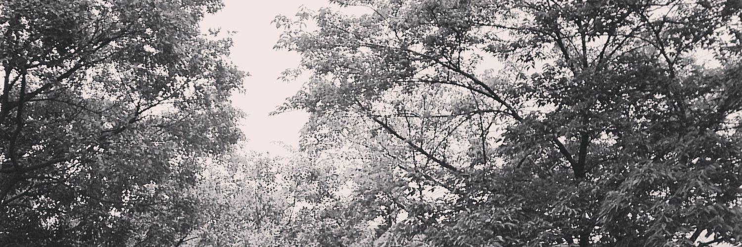 Sati_N's profile banner image