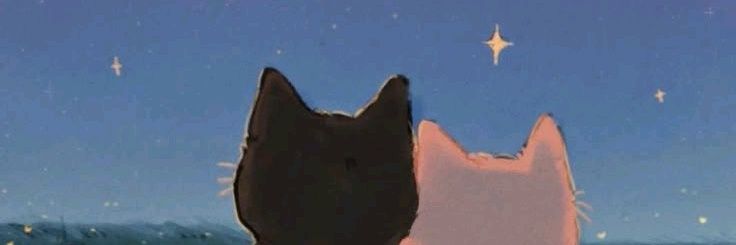 Meaww banner