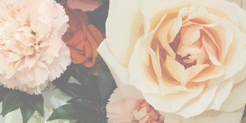 beatriceuu's profile banner image