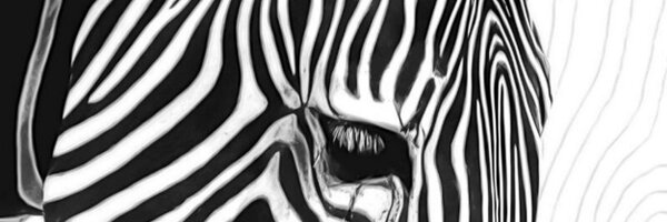 paparazizzi Profile Banner