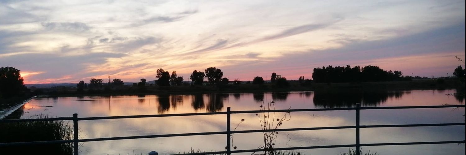 rocioavfl's profile banner image