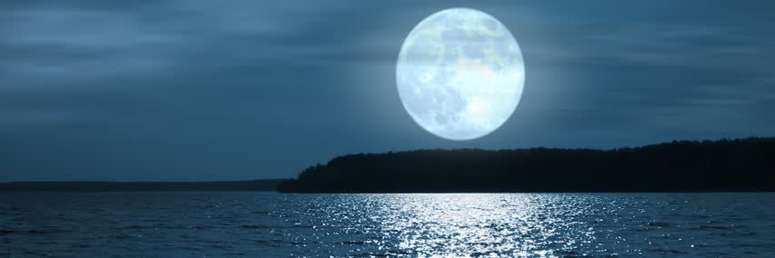 barriedavidson's profile banner image