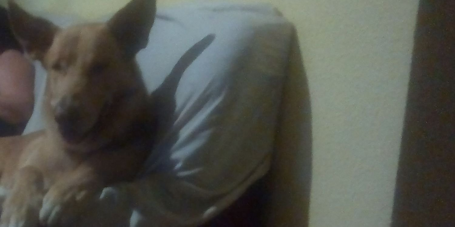 xtv_eva's profile banner image