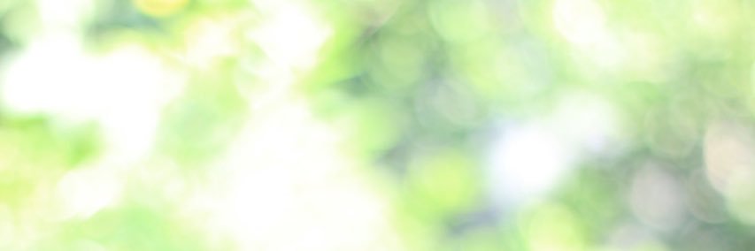 fenisety's profile banner image