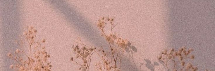 looly__1997's profile banner image