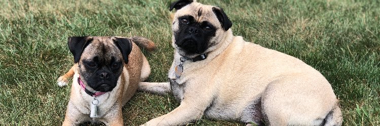 twtwhite1's profile banner image