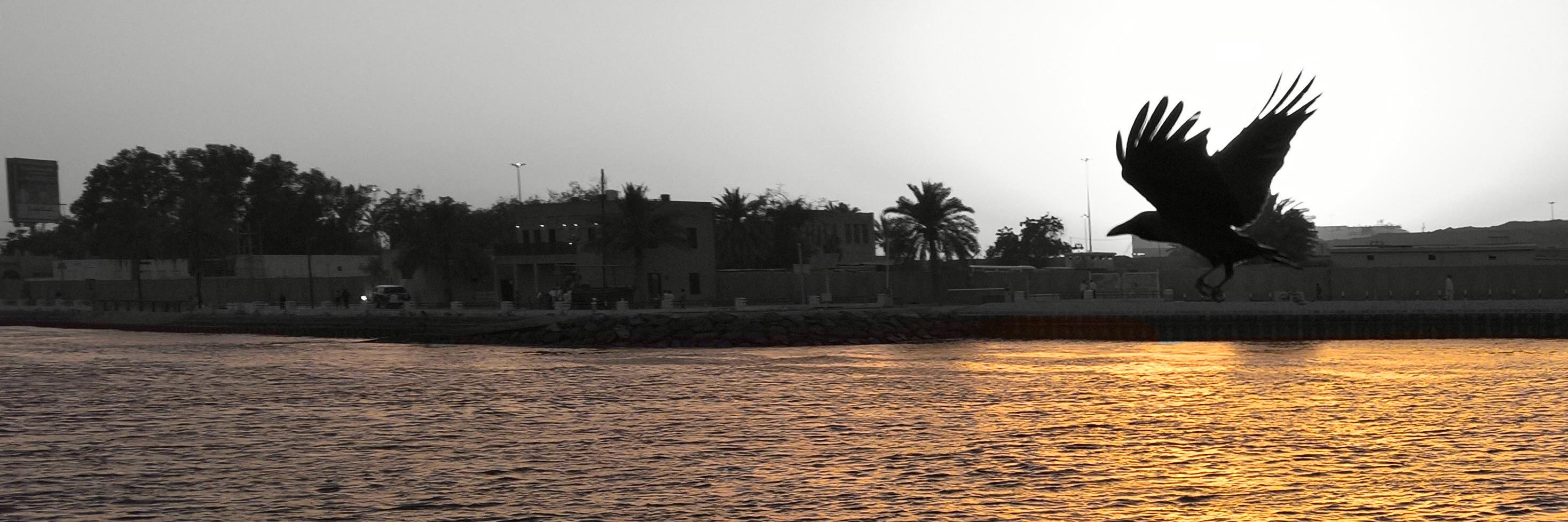 nasrathmc's profile banner image
