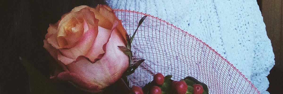 FREfeNCIfi's profile banner image