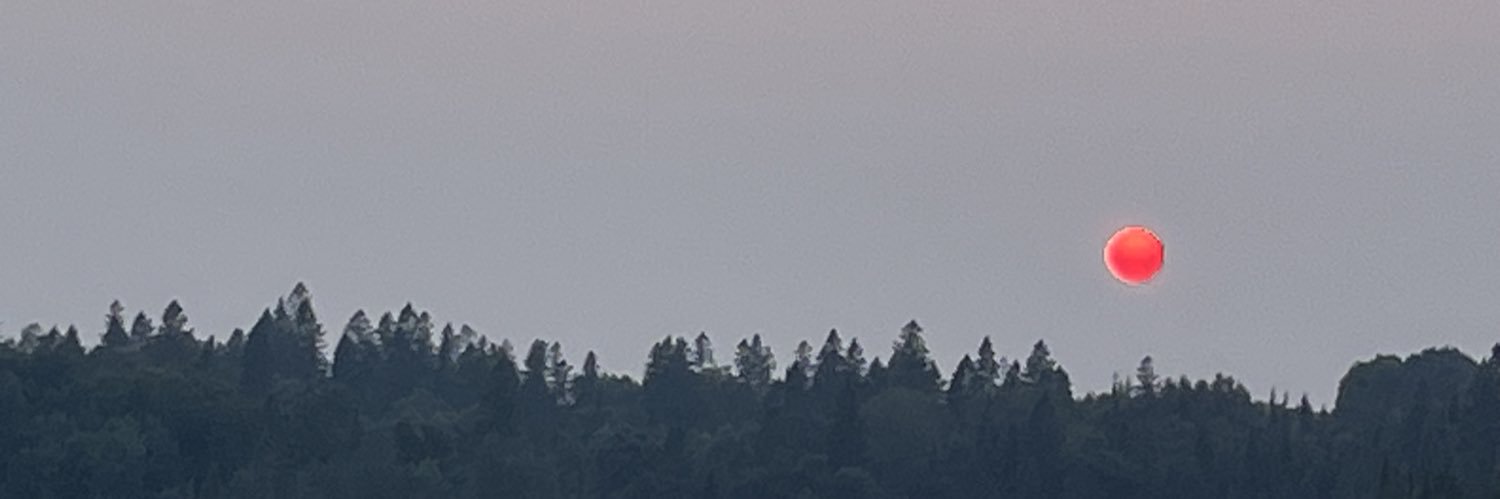 anthmaggs's profile banner image