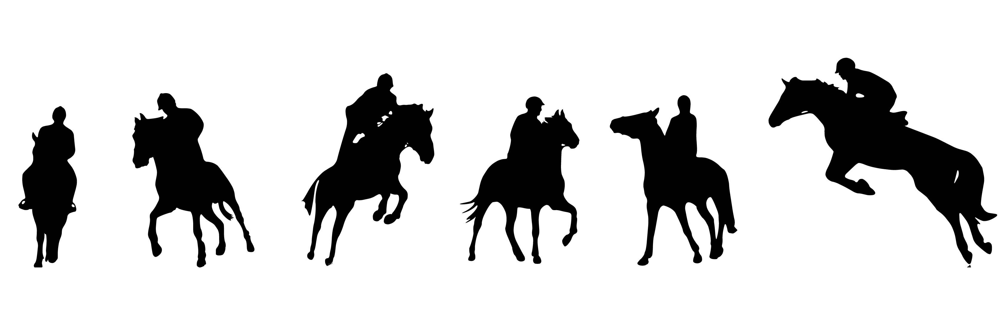PaddockRoomGal's profile banner image