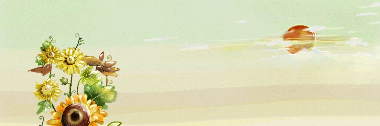 skatik91's profile banner image