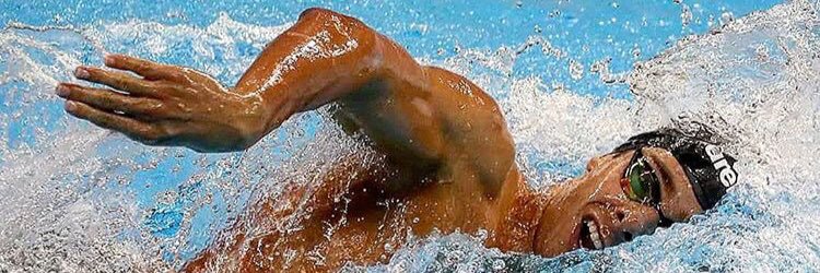 Gregorio Paltrinieri banner