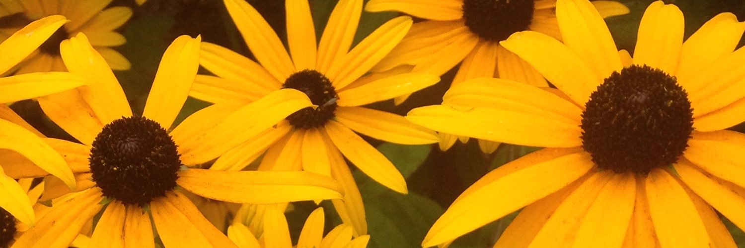 ellen_care's profile banner image
