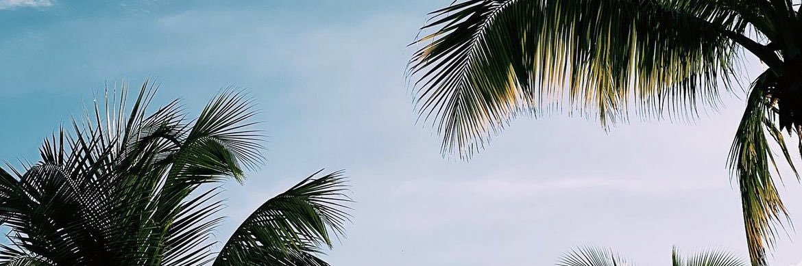marcoshumberto's profile banner image