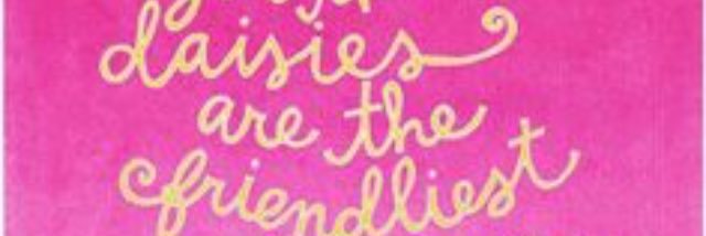 DaisyRidge's profile banner image