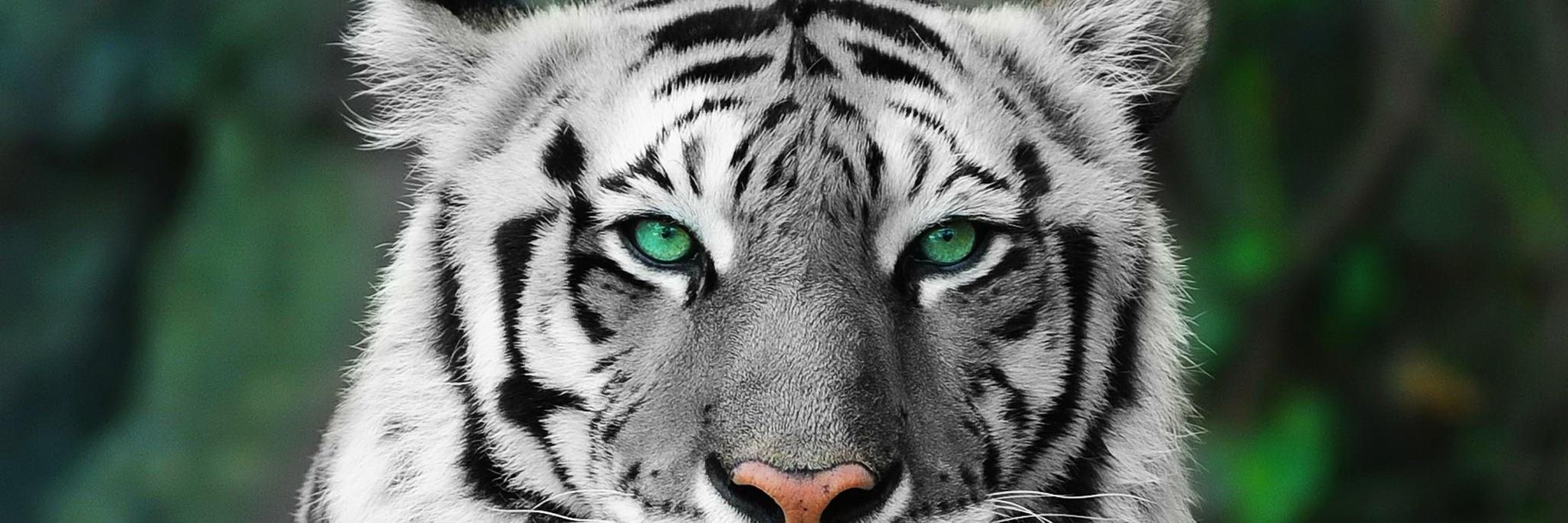 MiguelTxenso's profile banner image