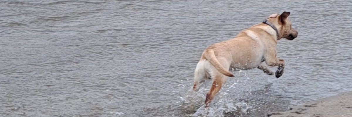 Andy_TellsTruth's profile banner image