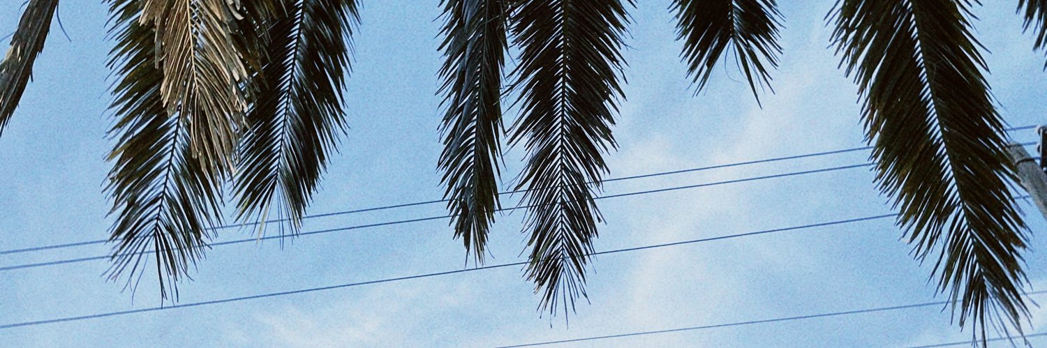 Flovalientee's profile banner image