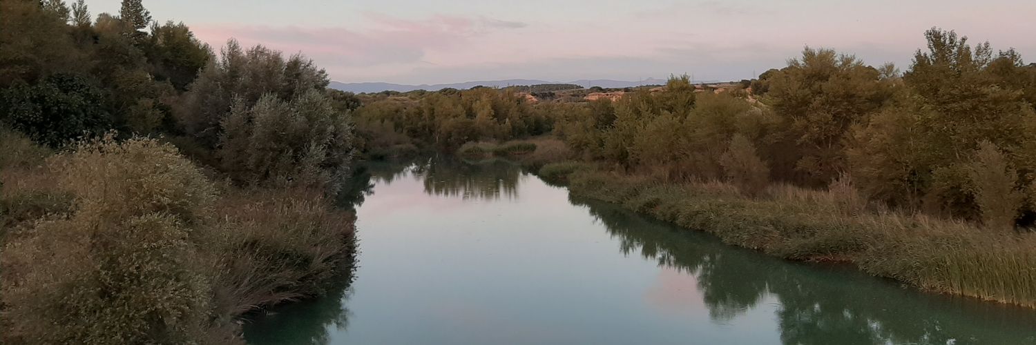 Diepuente's profile banner image