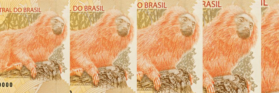 Cleuci de Oliveira banner