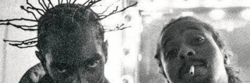 Chagas banner