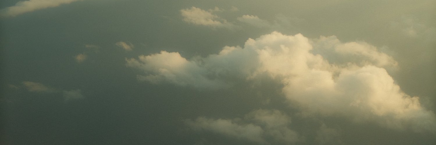 _raybug's profile banner image