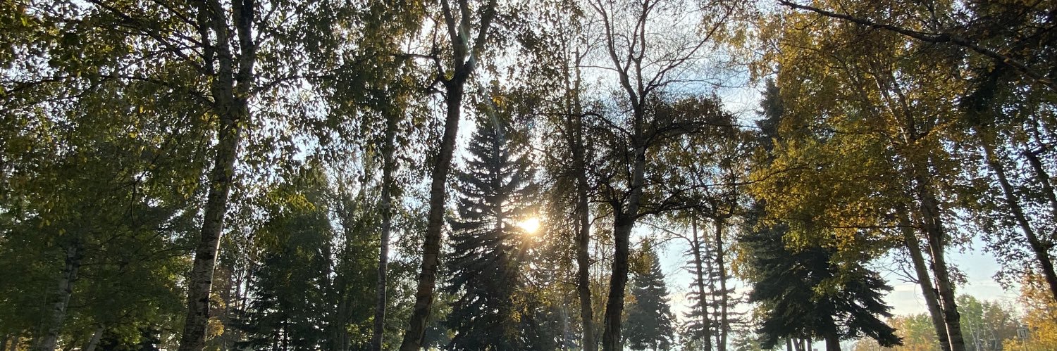 VeronicaBtran's profile banner image