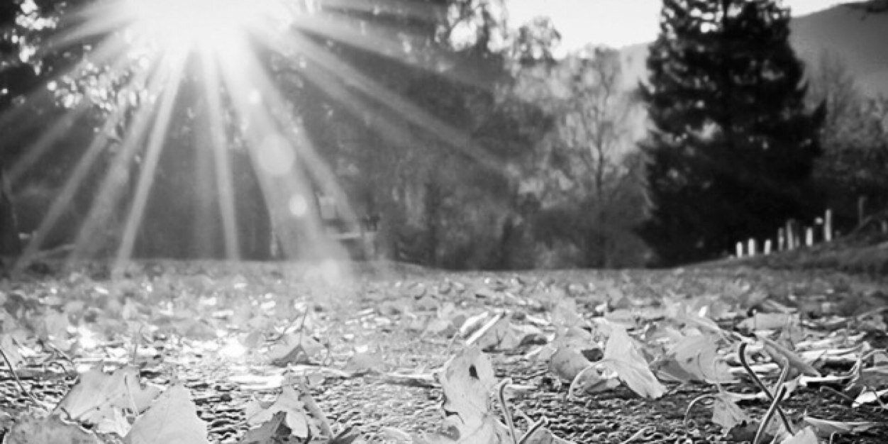 _12vip's profile banner image