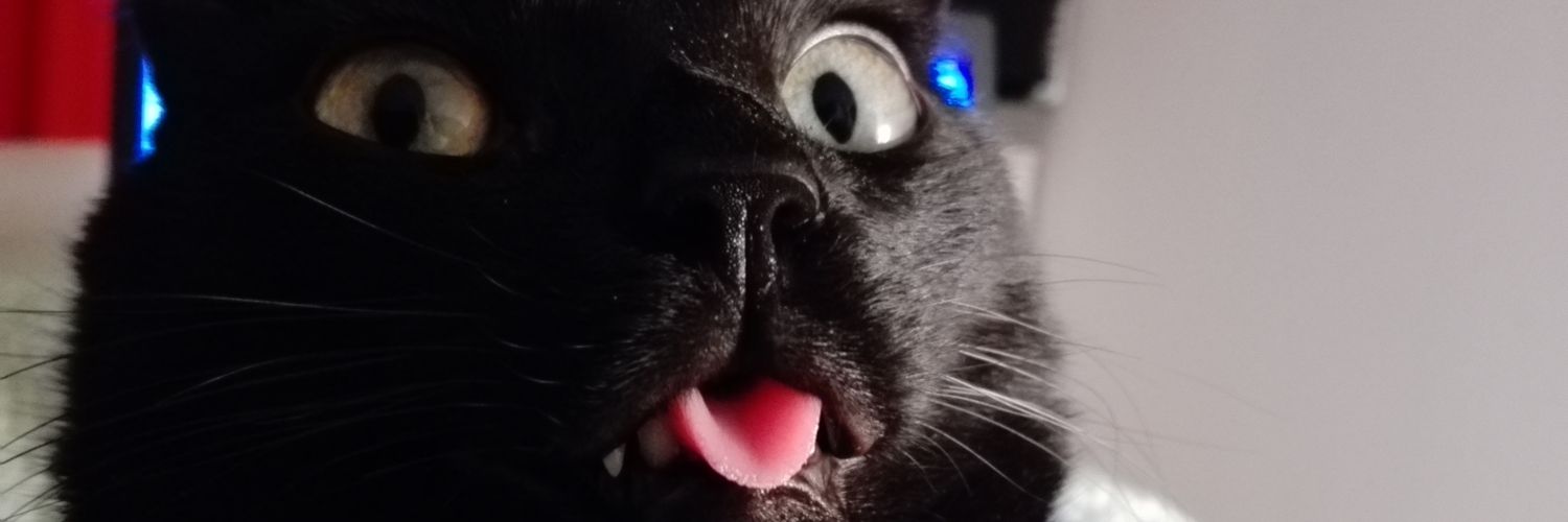 HAMFILTHY13's profile banner image
