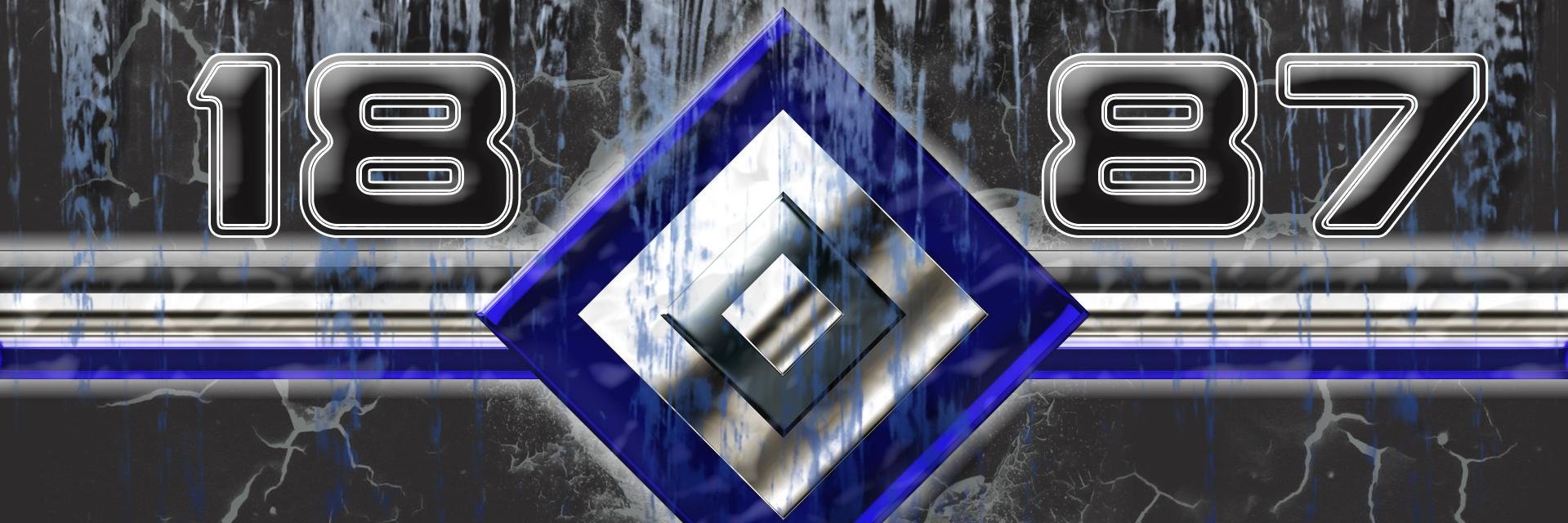 Iceblizard's profile banner image