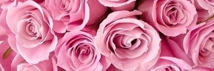 HannahCaister's profile banner image