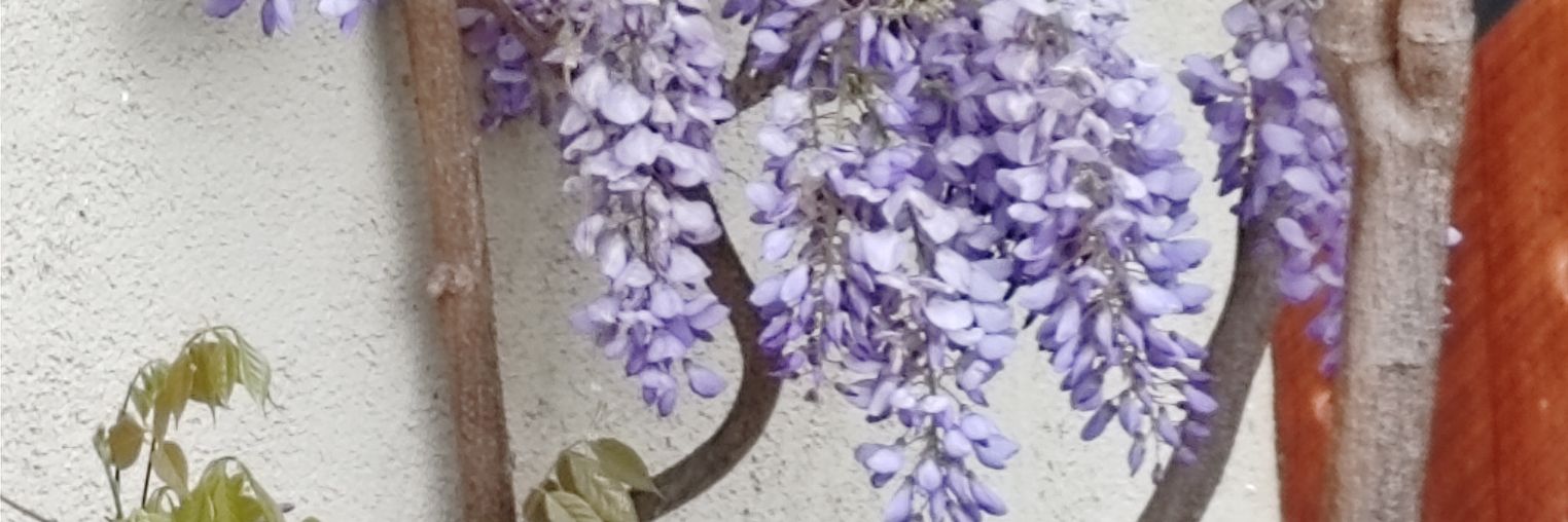 cleambjad's profile banner image