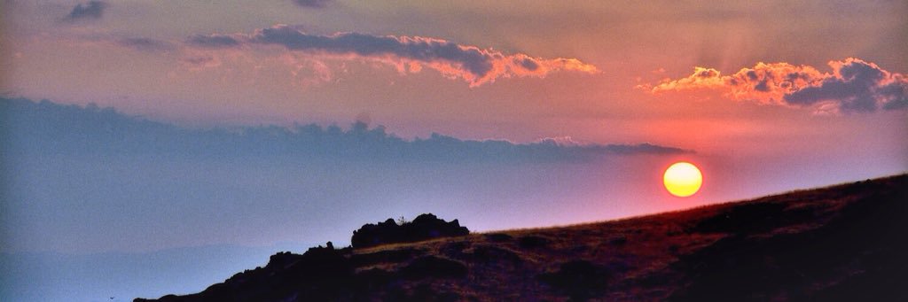 AlessiaSaccone's profile banner image