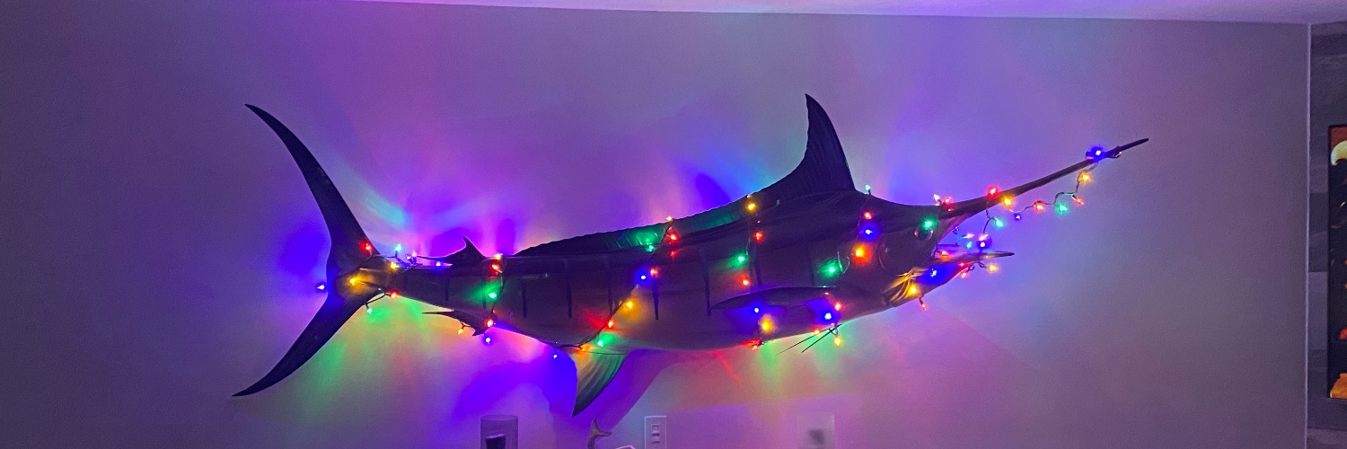 Mick Schoech, MD banner