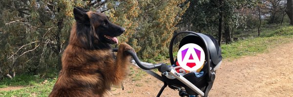 Rom1_Dev_Sleep Profile Banner