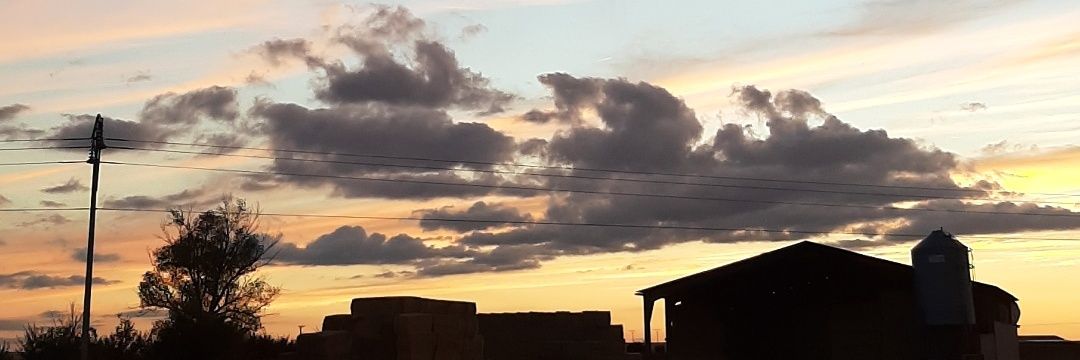 almuhervas's profile banner image
