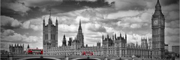 mrsedeg2011 Profile Banner